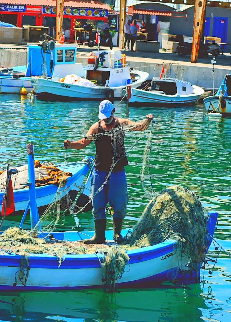 ayvalık badavut nerede