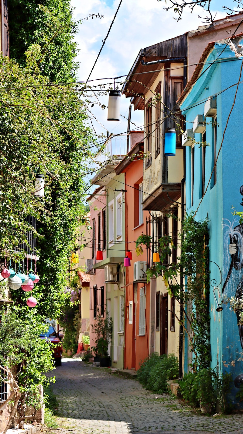 ayvalık badavut nerede